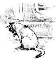 CAT007A.TIF