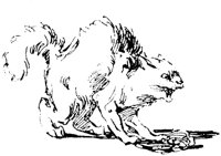 CAT006M.TIF