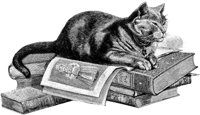 CAT006L.TIF