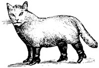 CAT006K.TIF