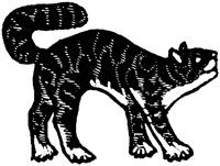 CAT006H.TIF