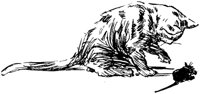 CAT006G.TIF
