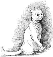 CAT005K.TIF