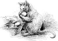 CAT005G.TIF