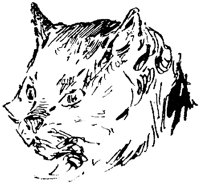CAT005F.TIF