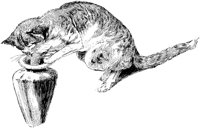 CAT005D.TIF