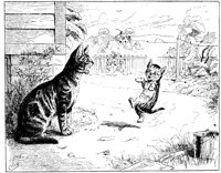 CAT005A.TIF