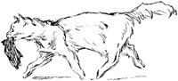 CAT004J.TIF
