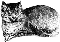 CAT004H.TIF