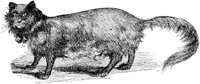 CAT004G.TIF