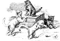 CAT004F.TIF