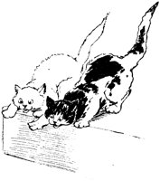 CAT004E.TIF