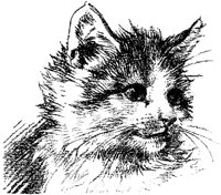 CAT004A.TIF