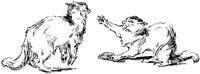 CAT003M.TIF