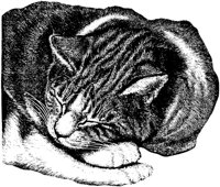 CAT003L.TIF