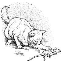 CAT003J.TIF