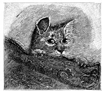 CAT003E.TIF