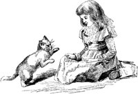 CAT003D.TIF