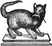 CAT003A.TIF
