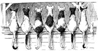 CAT002K.TIF