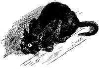 CAT002I.TIF