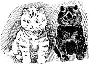 CAT002H.TIF