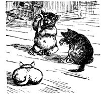 CAT002F.TIF