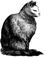 CAT001K.TIF