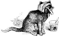 CAT001E.TIF