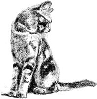 CAT001D.TIF