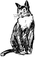 CAT001B.TIF