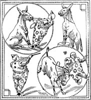 OTC107A.TIF