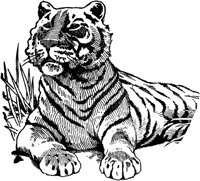 OTC031A.TIF