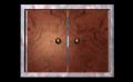 DOORS~78.GIF