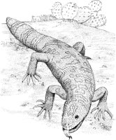RPA014A.TIF