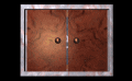 DOORS~54.GIF
