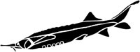 SWA003C.TIF