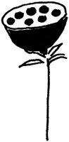 TAD031F.TIF