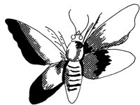 TAD028A.TIF