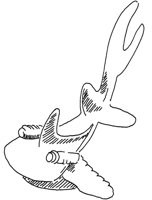 TAD015C.TIF