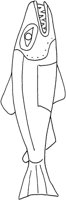 TAD008C.TIF
