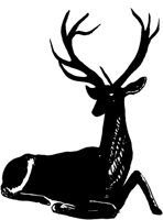 TAD005B.TIF