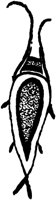 TAD081D.TIF