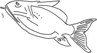 TAD076H.TIF