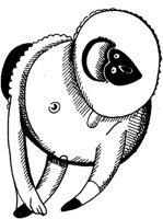 TAD060E.TIF