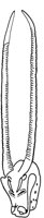 TAD057D.TIF