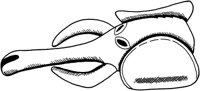TAD056E.TIF