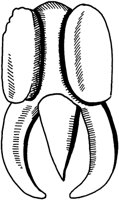 TAD056D.TIF