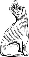 TAD116A.TIF