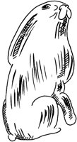 TAD114A.TIF